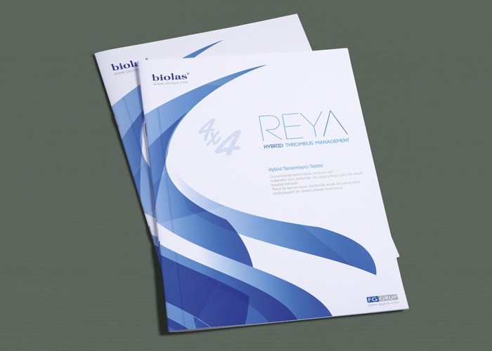 catalogue design image