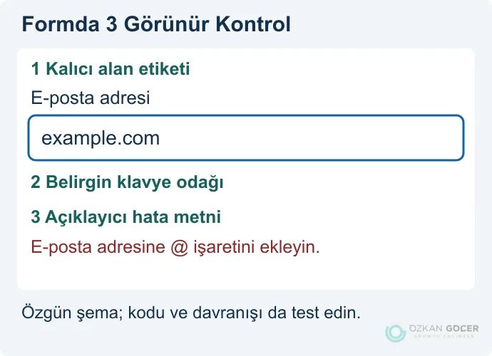 Örnek e-posta alanında kalıcı etiket, görünür klavye odağı ve açıklayıcı hata metni