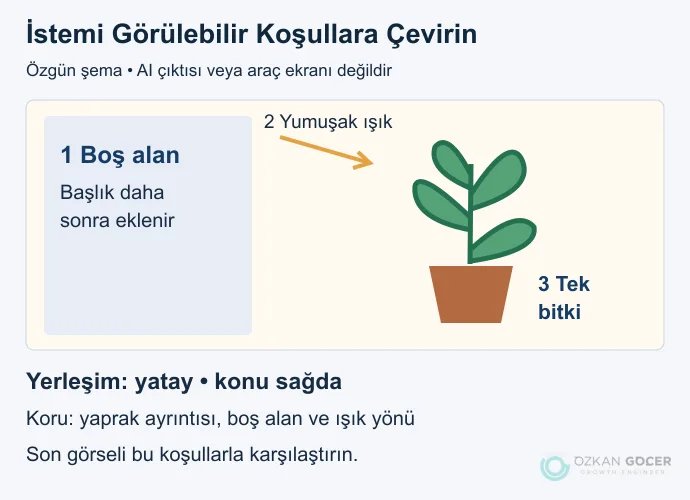 Görsel isteminde solda boş başlık alanı, ışık yönü ve sağda tek bitki koşullarını gösteren özgün şema