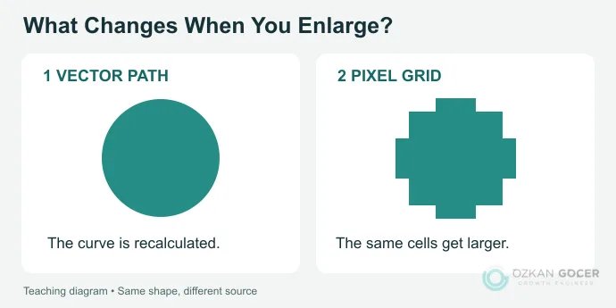 Comparison of a recalculated vector curve and an enlarged pixel grid