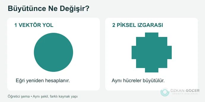Vektör eğrisinin yeniden çizilmesi ve piksel ızgarasının büyümesi karşılaştırması
