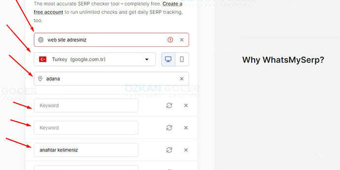 whatsmyserp
